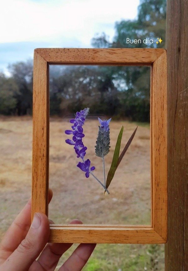 Producto - Cuadro 4 10x15