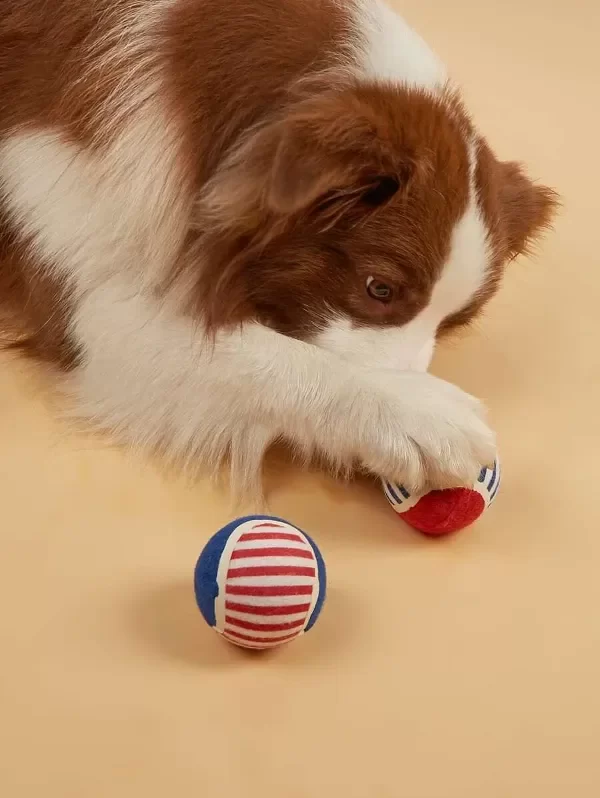 Producto - Pelota "Lorenzo".