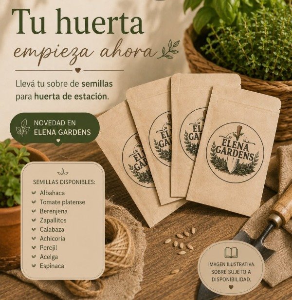 Producto - Espinaca - Huerta en Casa - 1