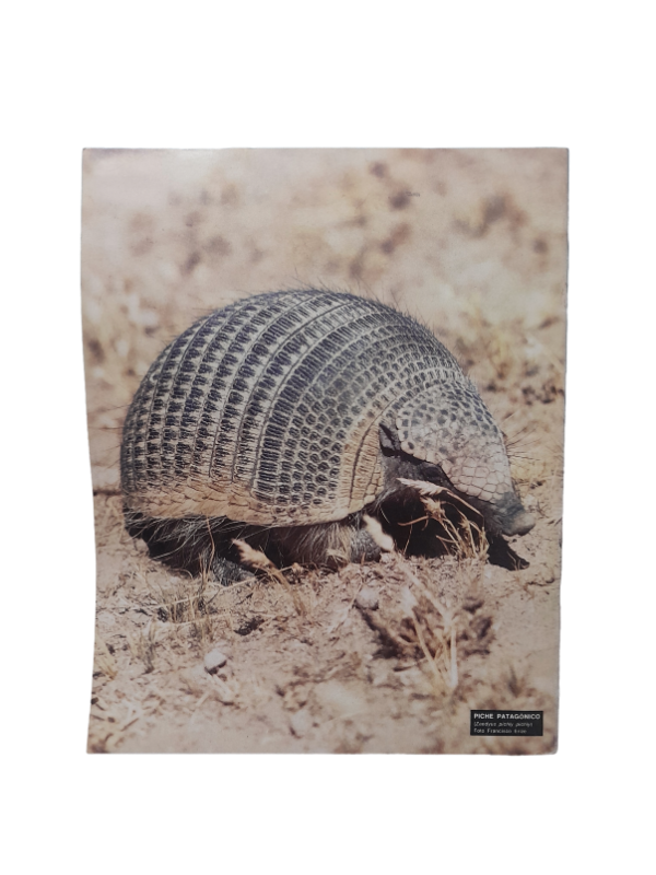 Miniatura de producto - 7