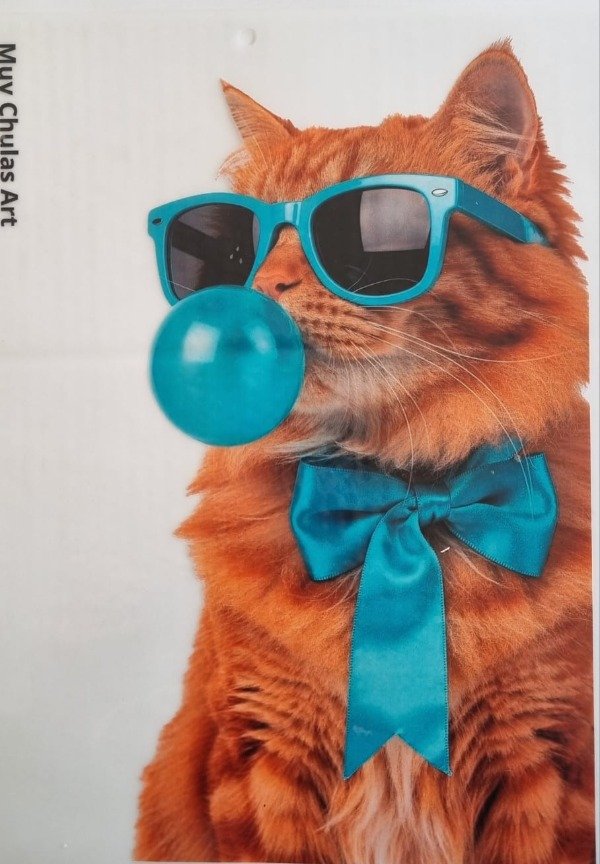 Producto - Gatos1