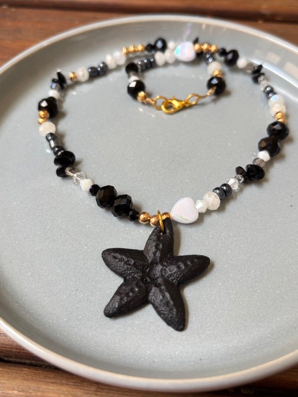 Producto - Estrella de mar negra