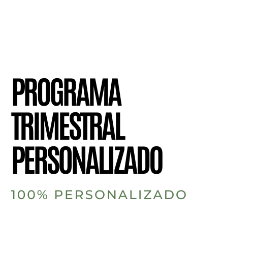 Producto - Plan de entrenamiento trimestral