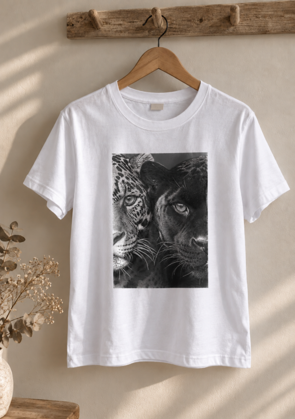 Producto - Feline