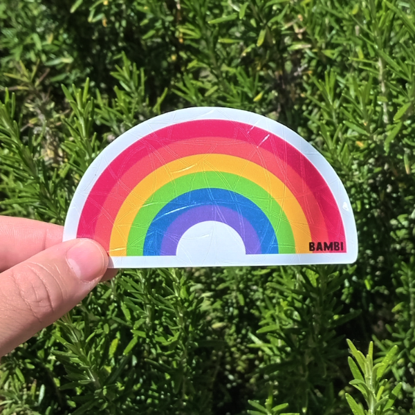 Producto - Sun catcher Arcoíris