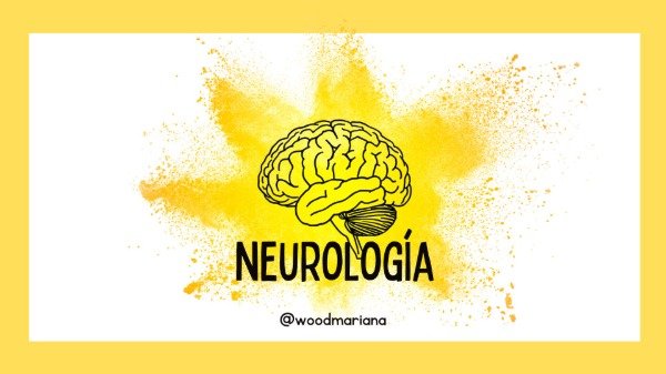 Producto - Clases grabadas - NEURO