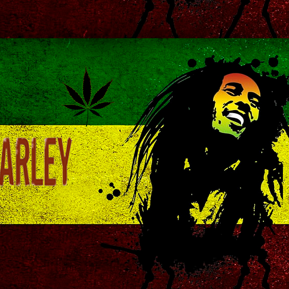 Producto - MUSICA - 04