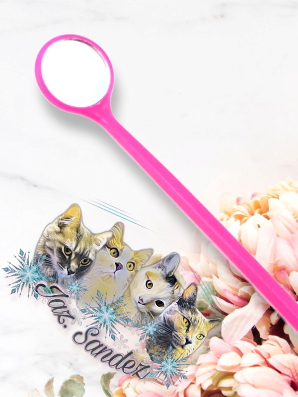 Producto - ESPEJITO PLASTICO