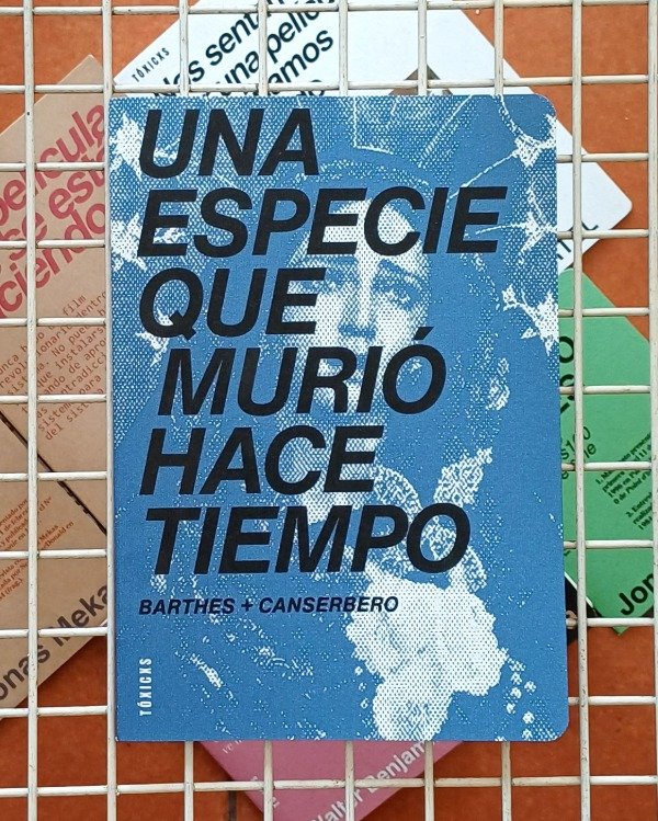 Producto - Una especie que murió hace tiempo