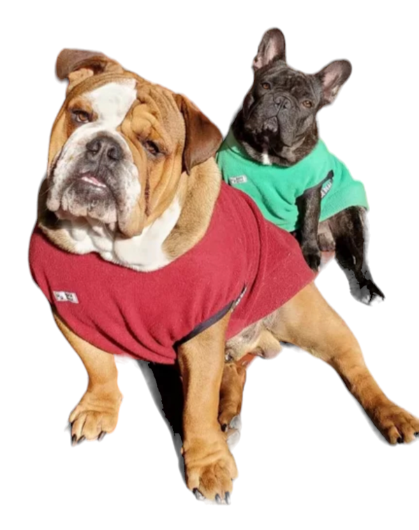 Producto - Buzo Be You polar cuello alto doble