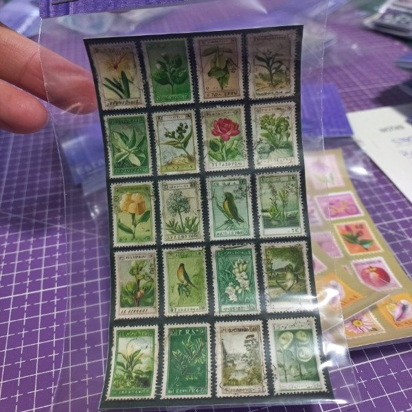 Producto - Plancha chica stickers troquelados. Natura Verde