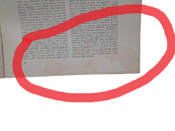 Miniatura de producto - 8