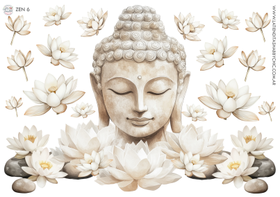 Producto - ZEN 6 TRANSFERMIXED