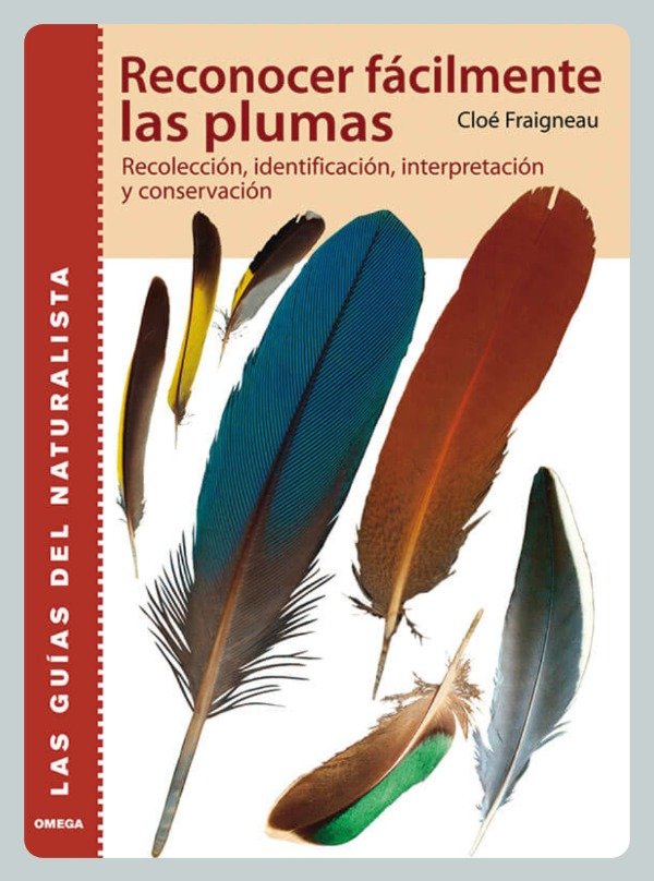 Producto - Fraigneau: Reconocer Fácilmente las Plumas