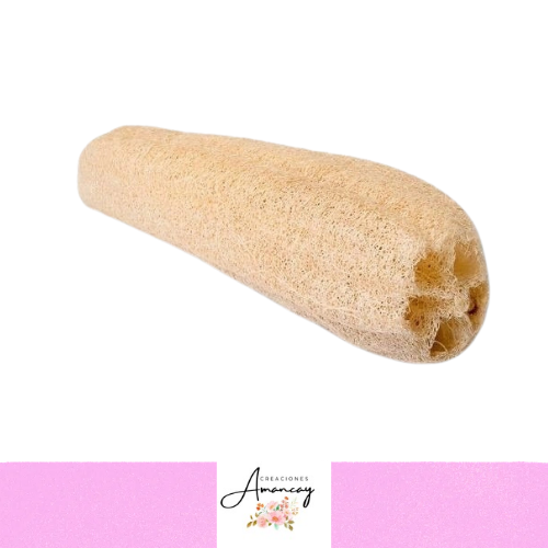 Producto - ESPONJA VEGETAL