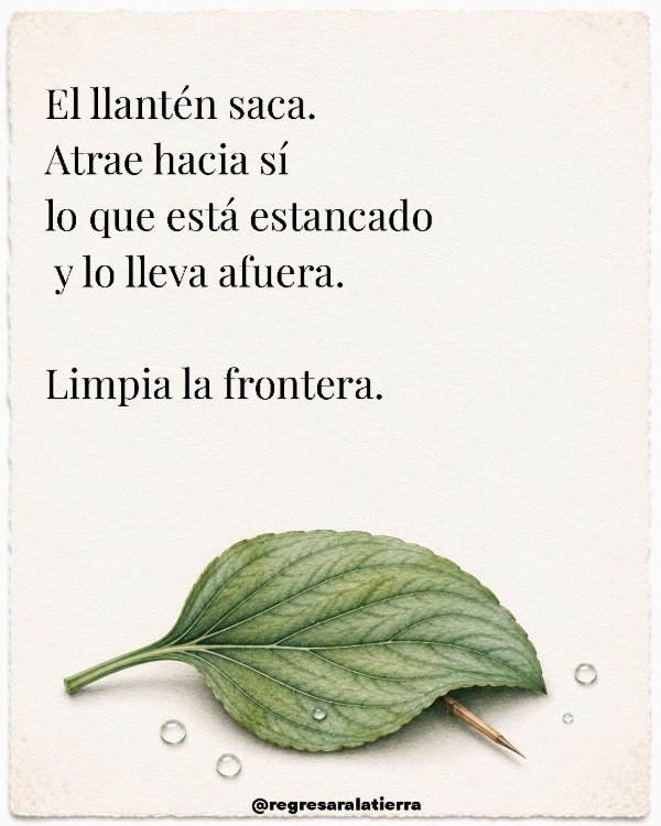Miniatura de producto - 10