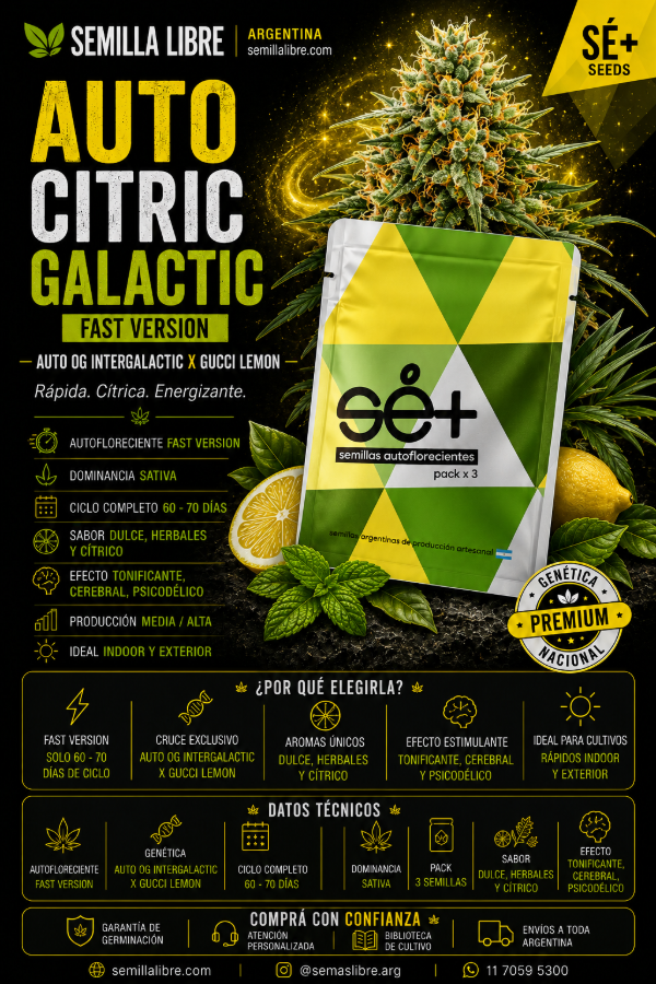 Producto - AUTO CITRIC GALACTIC - SE+. Pack 3 semillas - 2