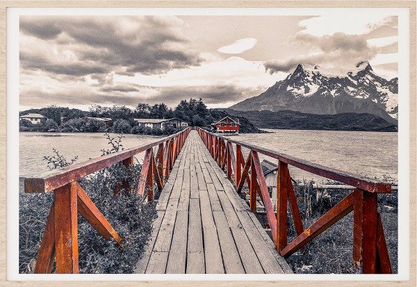 Producto - Puente Paine