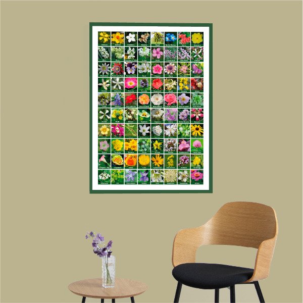 Producto - Poster individual 80 flores