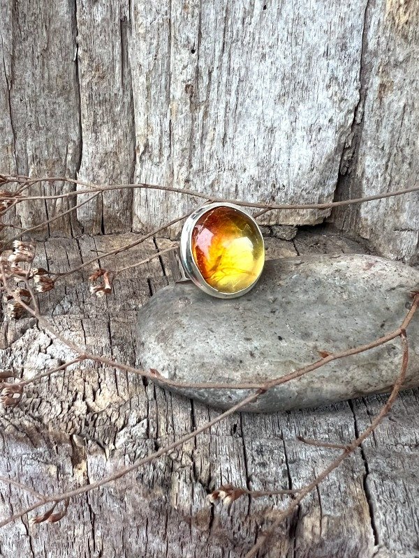 Producto - ANILLO ÁMBAR MEXICANO