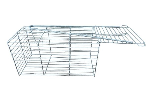 Miniatura de producto - 4