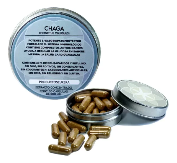 Producto - Chaga - Extracto Concentrado - x30 Cápsulas 500mg