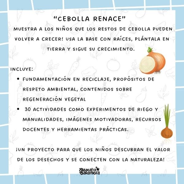 Producto - Proyecto "Cebolla Renace"