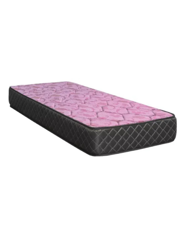 Producto - COLCHON FISHER ESPUMA REAL 100 X 190 X 22