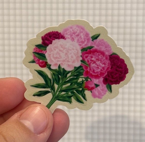 Producto - Sticker clavel