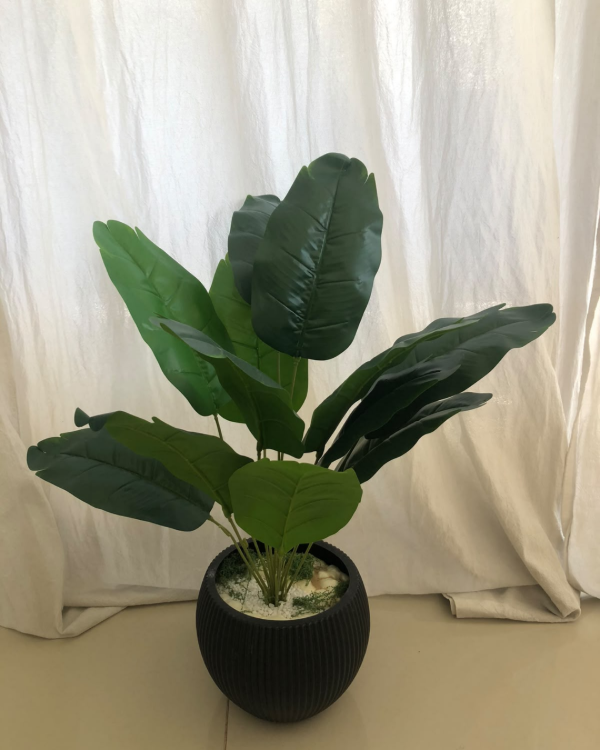 Producto - Monstera Artificial Decorativa Premium