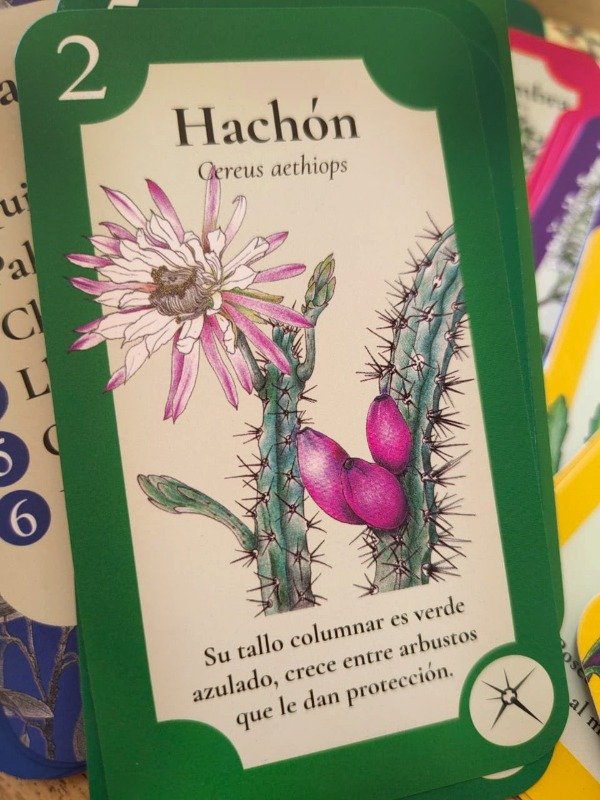 Miniatura de producto - 4