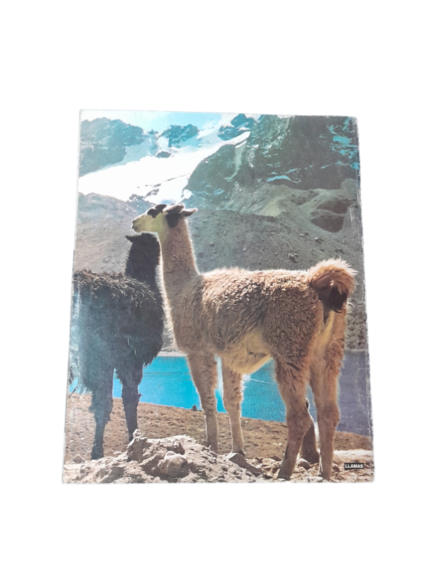 Miniatura de producto - 8