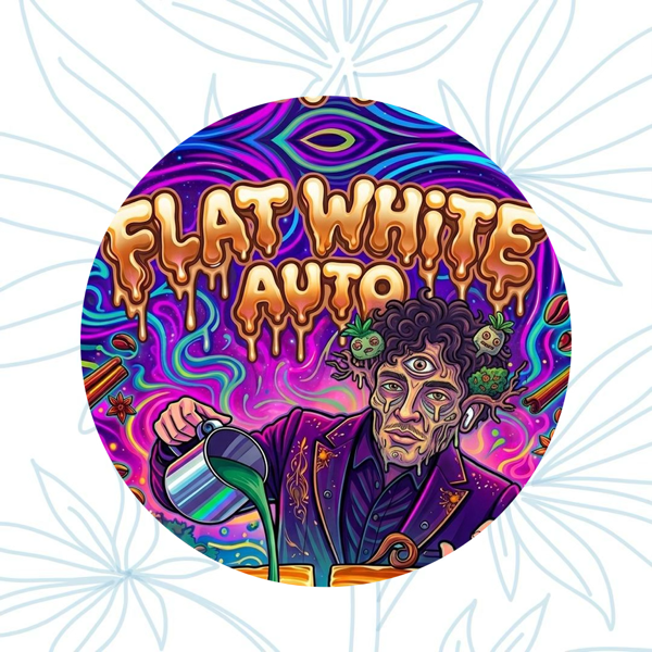 Producto - Flat White Auto (3 unidades)