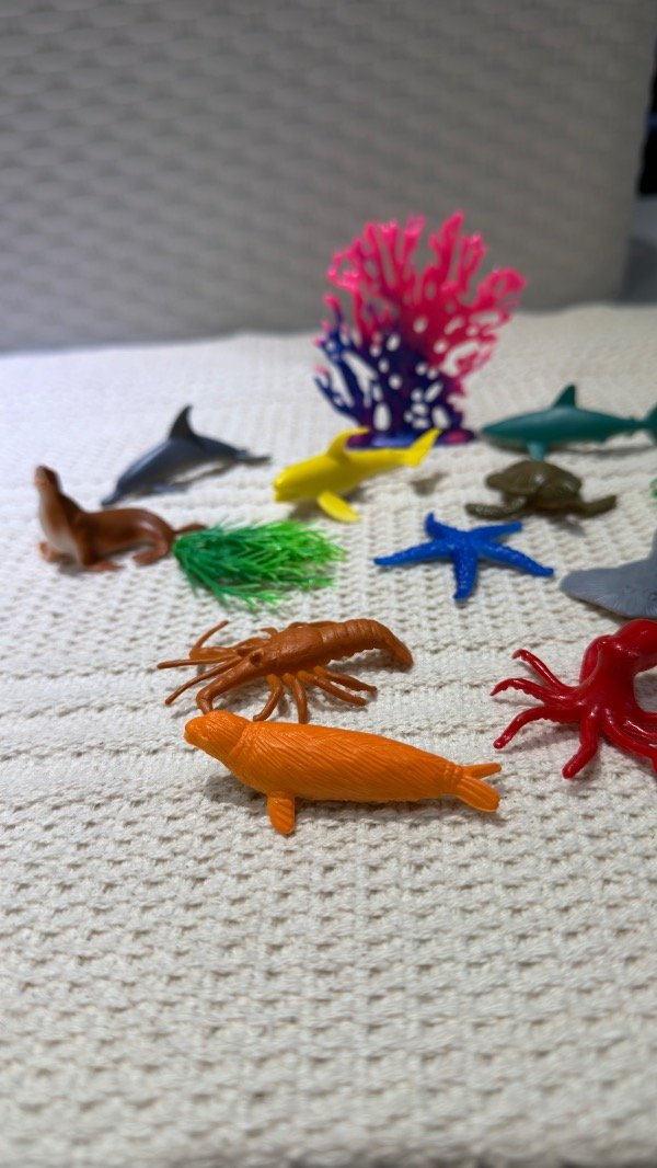Producto - Mini marinos