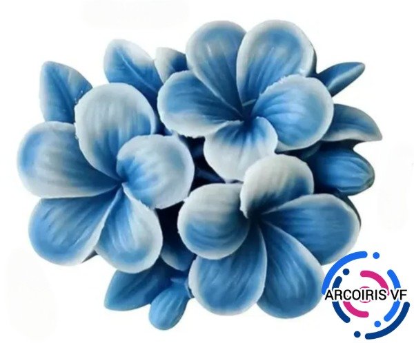 Producto - Molde 3 flores