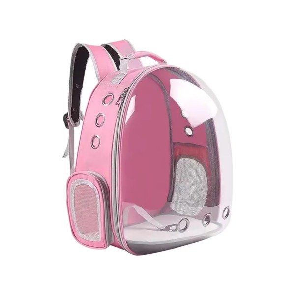Producto - Satellite Mochila A-MM1804 - Para - Rosa