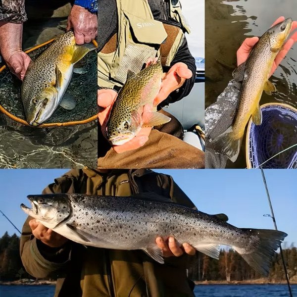 Miniatura de producto - 7