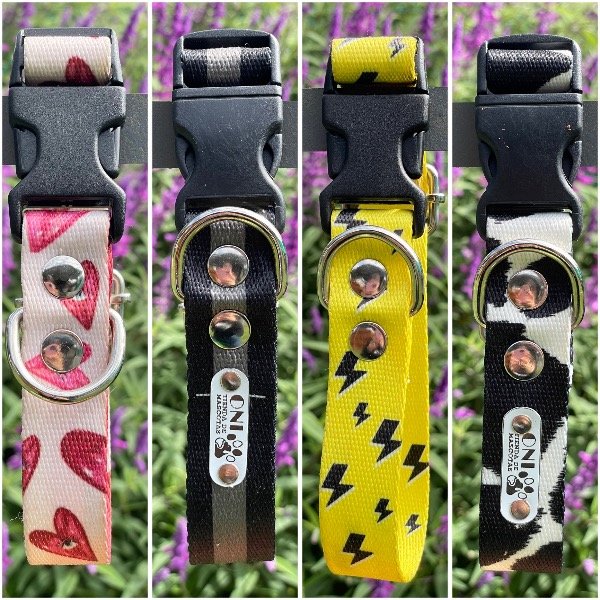 Producto - Collar con Identificacion Liquidacion