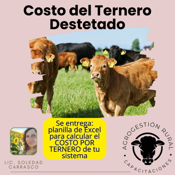 Producto - Taller Online: Costo del Ternero
