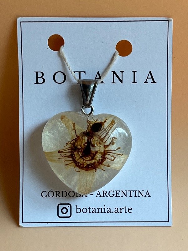 Producto - Pasionaria 2