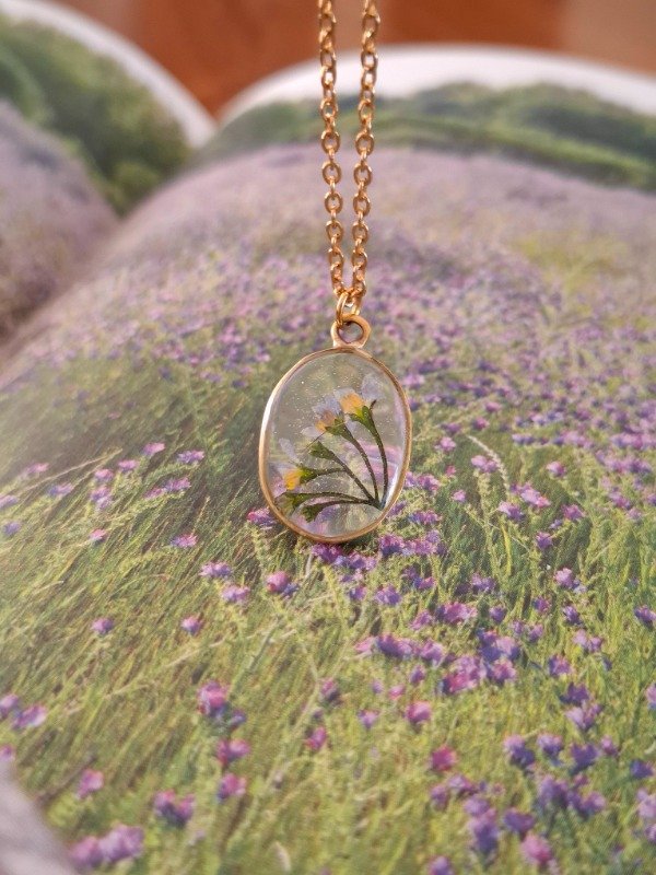 Producto - campo de lirios