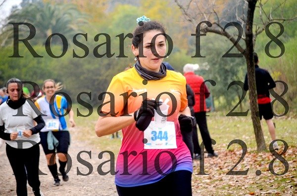 Producto - Maratón del bosque 760