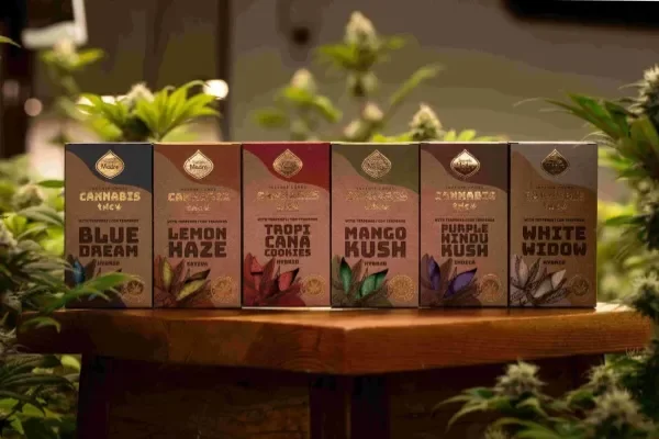 Producto - CONO CANNABIS SAGRADA MADRE