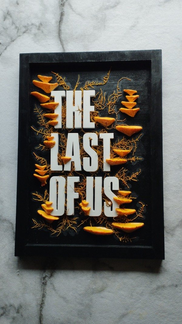 Producto - Cuadro The Last of Us