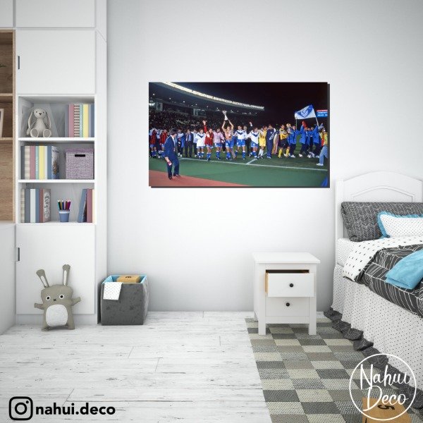 Producto - Cuadro Vélez Sarsfield MOD 9