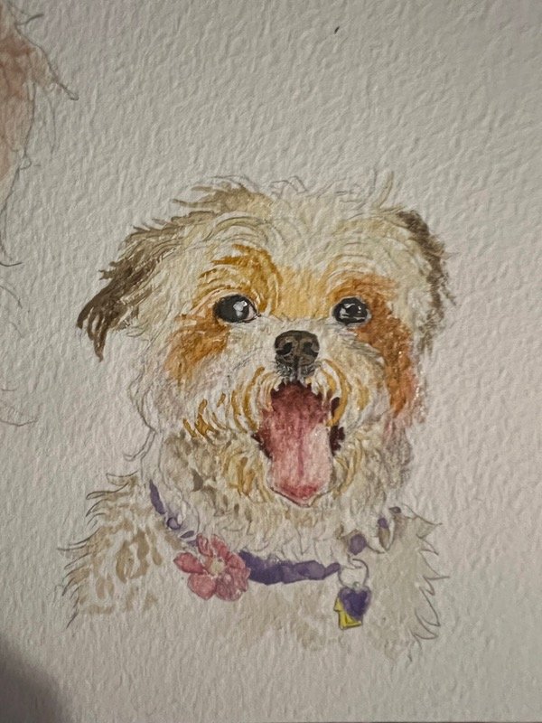 Producto - Retrato de mascota mini acuarela - 1
