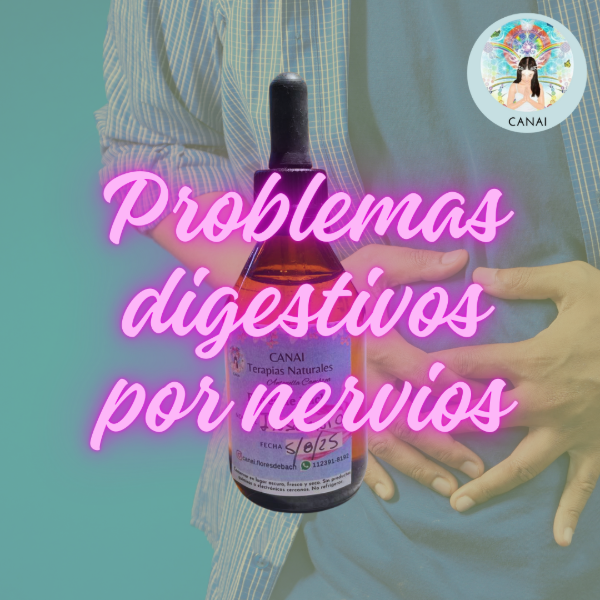 Producto - Fórmula PROBLEMAS DIGESTIVOS POR NERVIOS