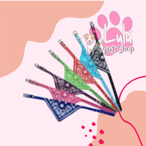 Producto - COLLARES PAÑUELOS