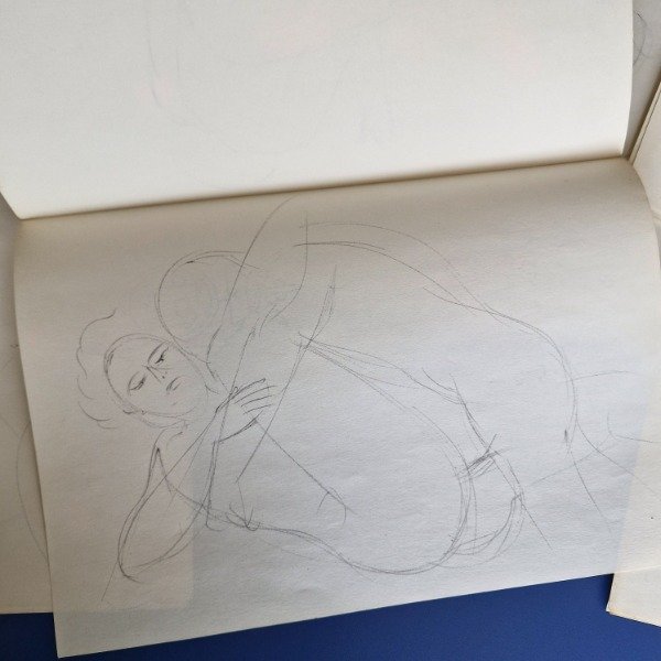 Producto - Rubió, Nicolás - 52 dibujos eróticos - 4