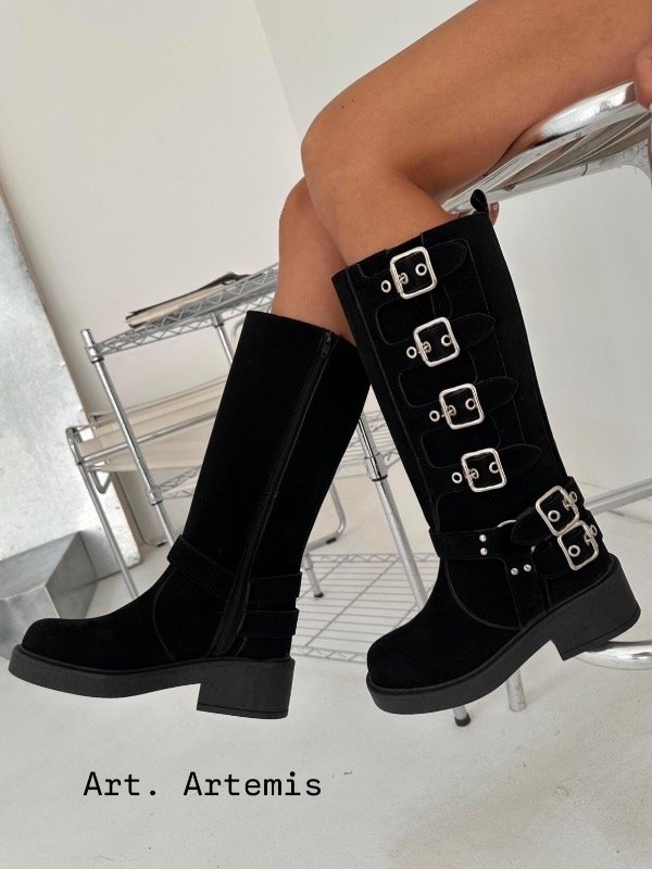 Producto - ARTEMIS
